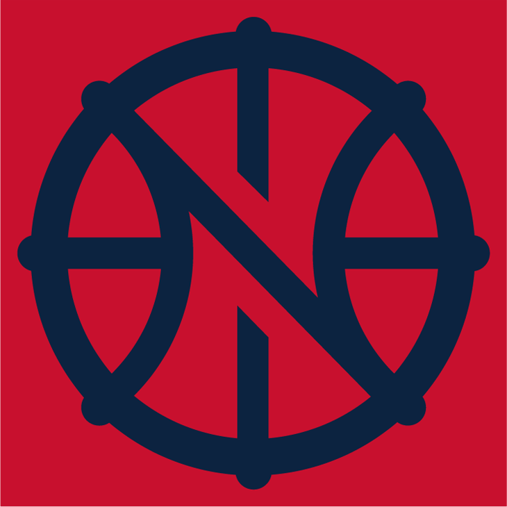 New Orleans Pelicans 2013-Pres Alternate Logo fabric transfer
